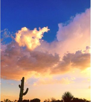 cactus-clouds-at-sunset-park