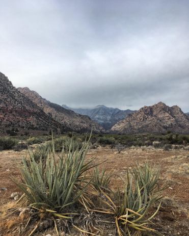 red rock view 2.jpeg