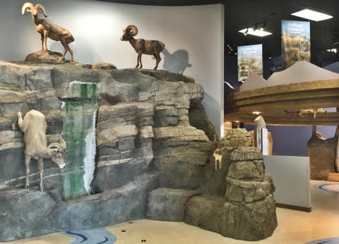 visitor center interior 1.jpg