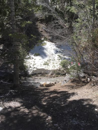 snow on the ground.jpeg