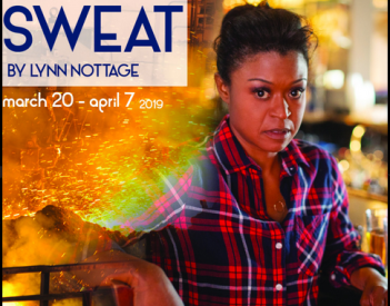 Screen Shot 2018-12-19 at 11.44.24 AM.png